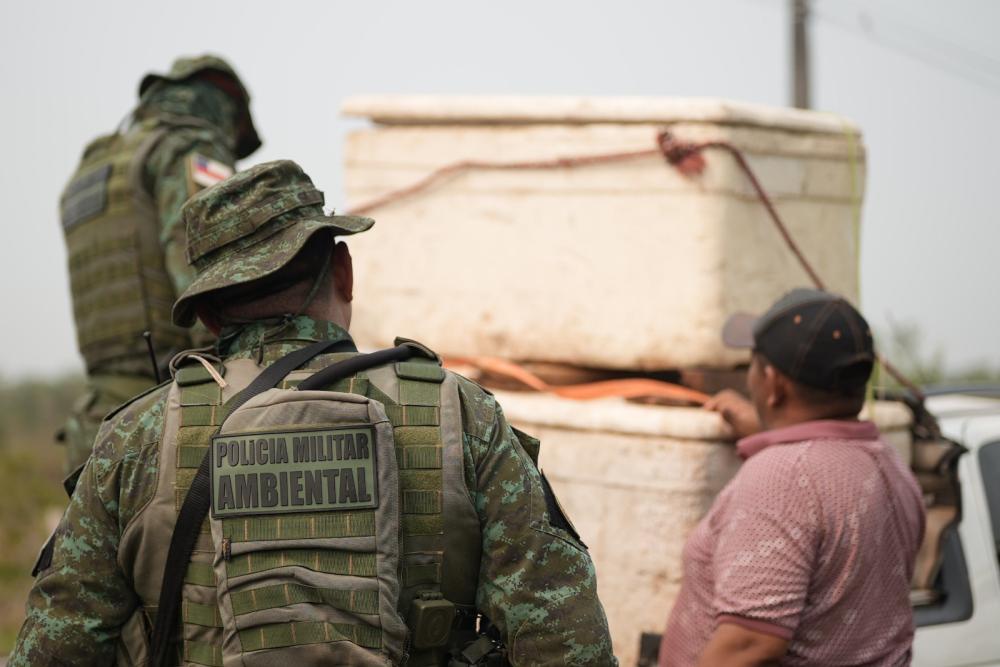 Conheça o Comando de Policiamento Ambiental da PMAM, responsável pela proteção e defesa do meio ambiente