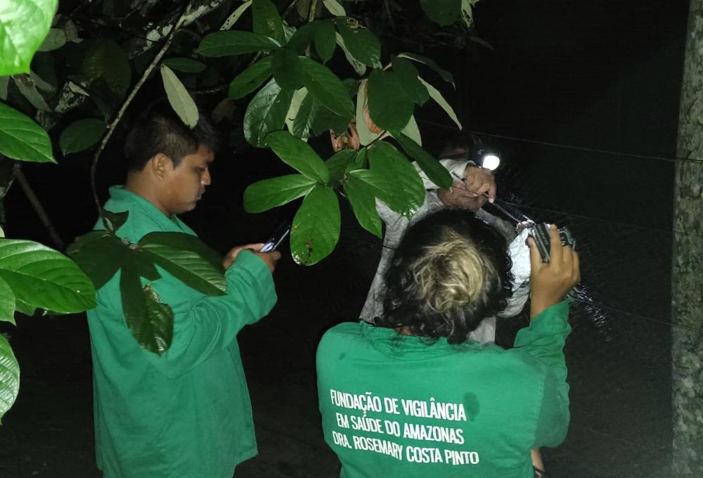 Vigilância em Saúde do Amazonas realiza ação de controle de morcegos em Maraã