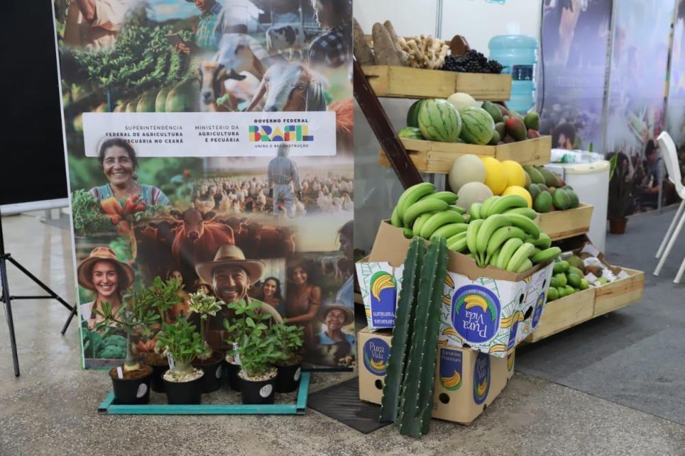 Governo do Amazonas destaca políticas públicas para setor primário na Pecnordeste 2024, em Fortaleza