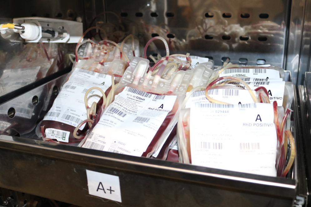 Dia Mundial do Doador de Sangue: FCecon alerta sobre importância da doação de sangue