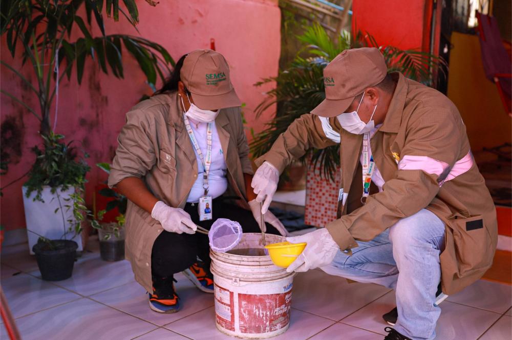 Prefeitura divulga dados da 25ª edição do Informe Epidemiológico de Arboviroses na capital
