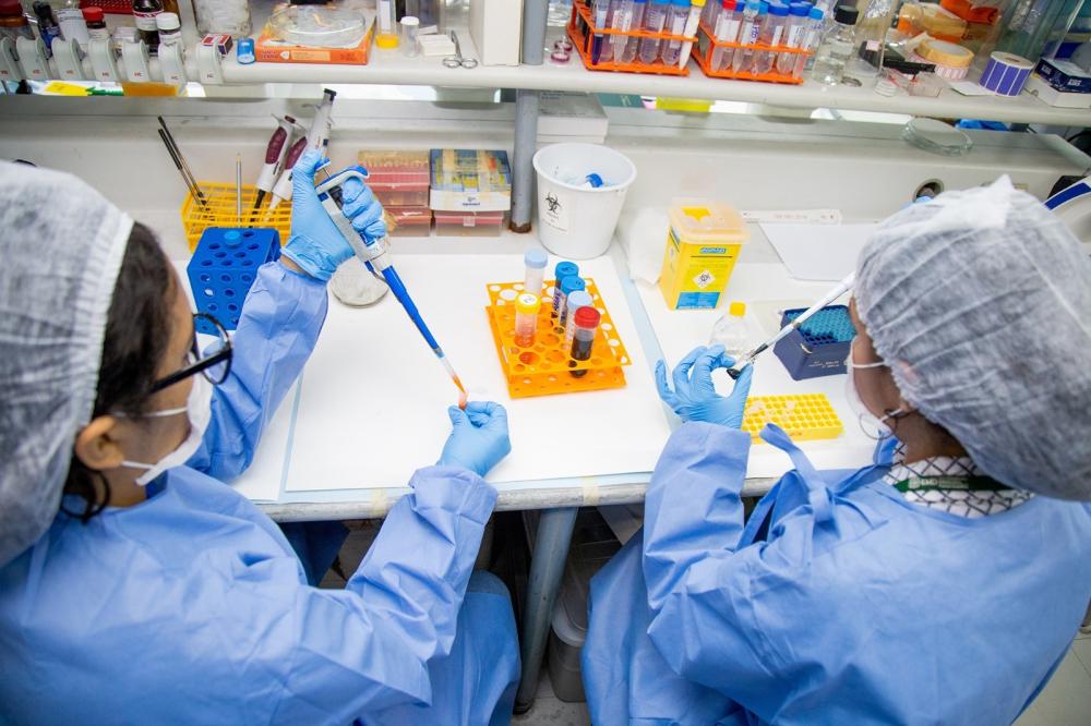 Governo do Amazonas institui Dia Estadual de Ciência, Tecnologia, Comunicação, Informática e Inovação