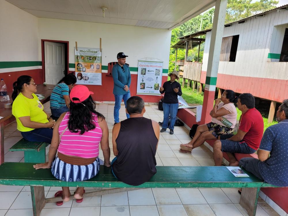 Adaf intensifica ações de educação sanitária sobre foco de monilíase, em Urucurituba
