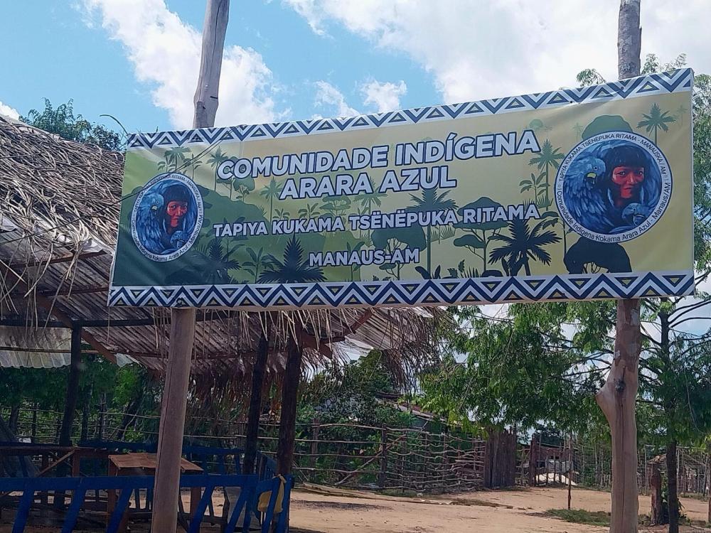 Fepiam incentiva agricultura indígena com entrega de mudas de pitaya