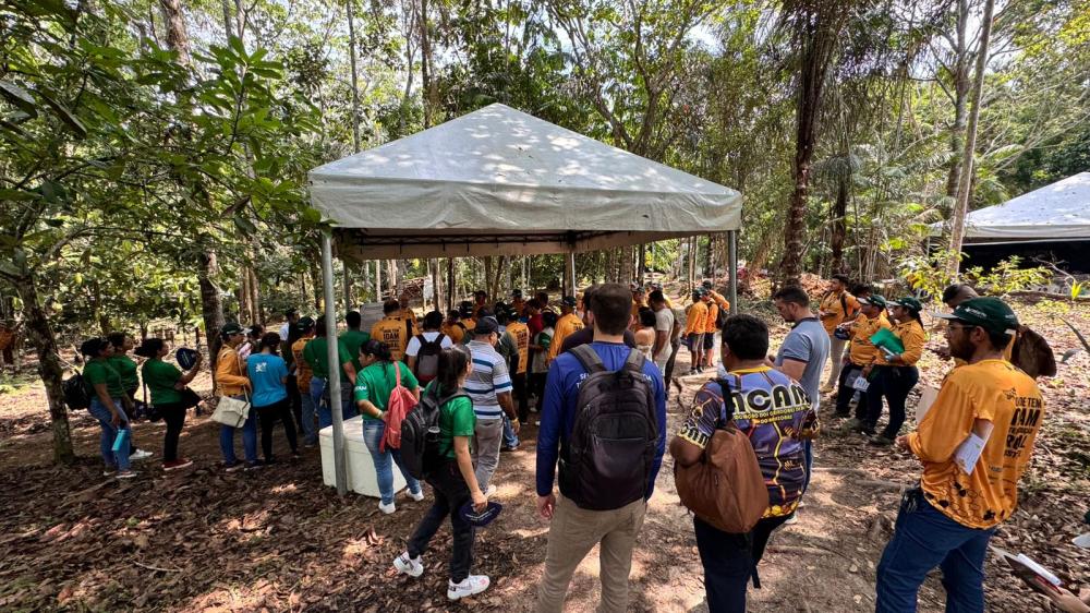 Dia de Campo da Meliponicultura: Idam capacita mais de 150 pessoas em Presidente Figueiredo