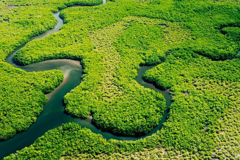 Desembolsos do BNDES para Amazônia Legal já superam os R$ 10 bi em 2024