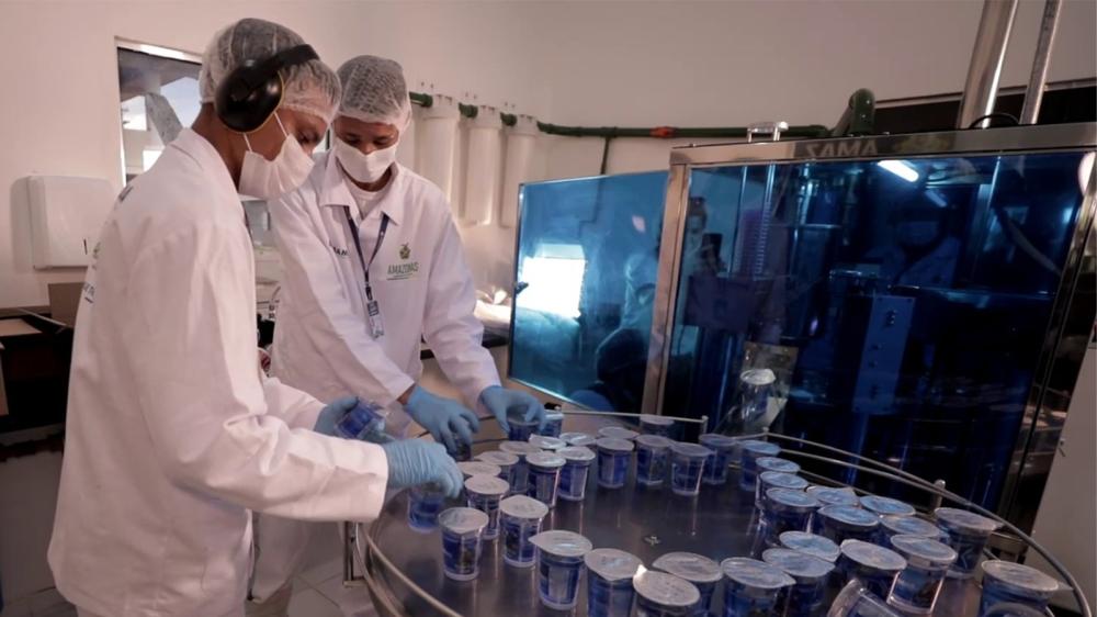 Cosama celebra 55 anos de atuação no Amazonas e enaltece trabalho dos colaboradores e marcos em investimentos