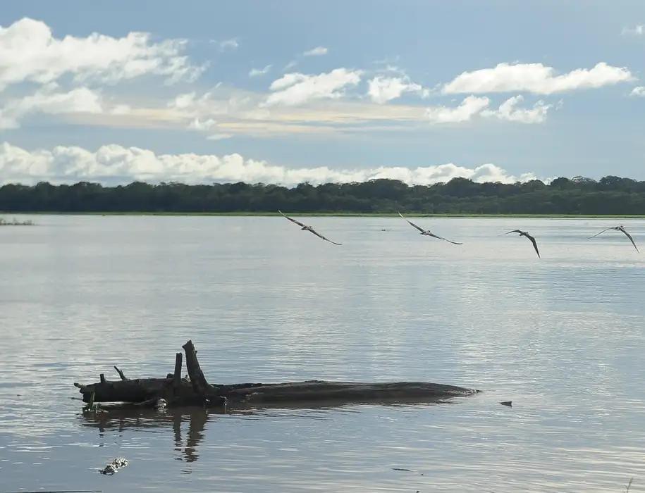 Auxílio Extraordinário: mais pescadores artesanais da Região Norte terão direito ao benefício