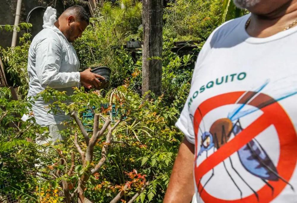 Dia D contra dengue promove ações de conscientização em todo o Brasil