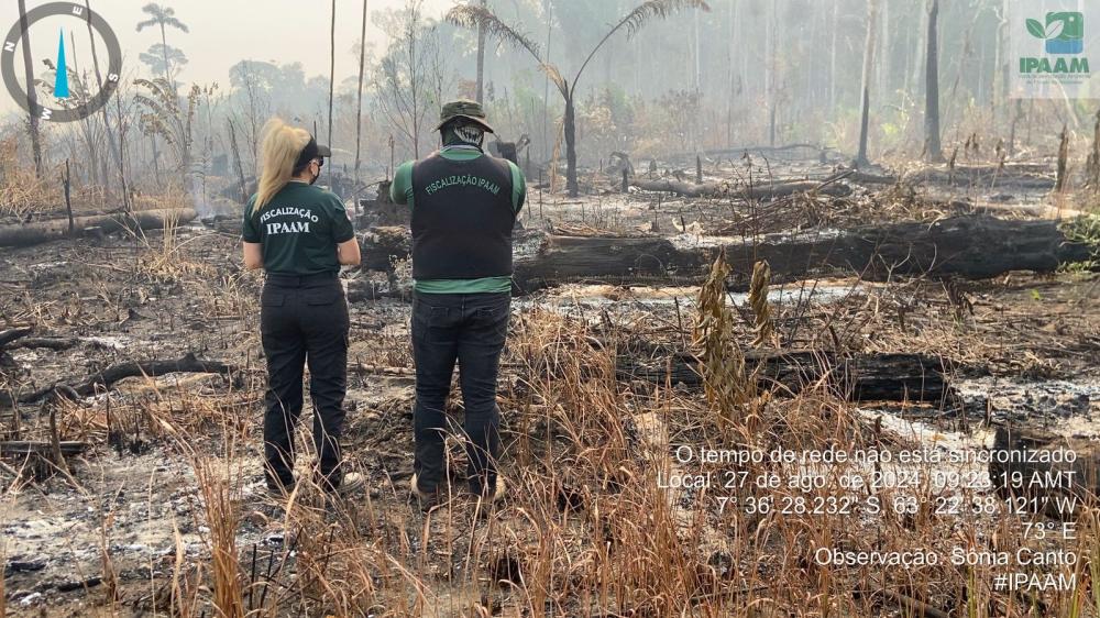 Fiscalizações ambientais do Ipaam crescem 281,38% com foco no combate ao desmatamento