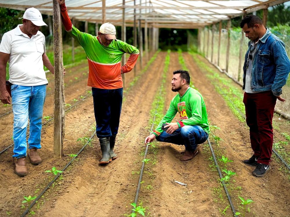 Secretaria de Produção Rural de Parintins inicia orientações técnicas nas propriedades da Ilha