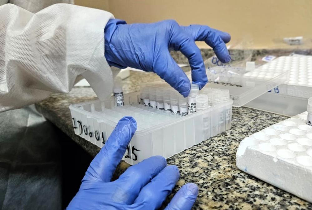 FVS-RCP divulga informe epidemiológico de Vírus Respiratórios no Amazonas