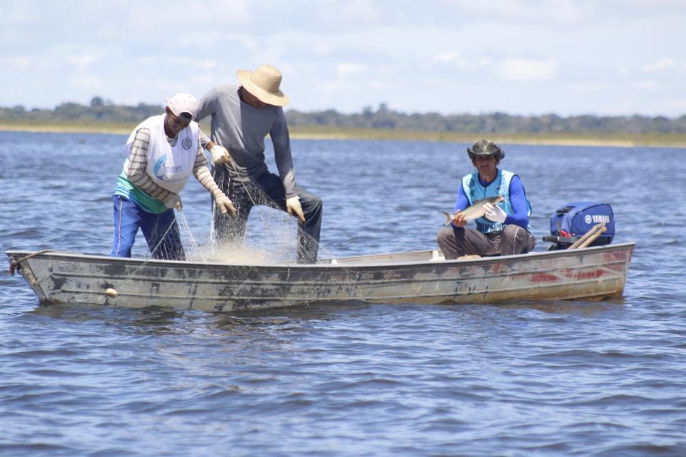 Sepror participa dos preparativos para início de novo período de pesca do Mapará no Amazonas