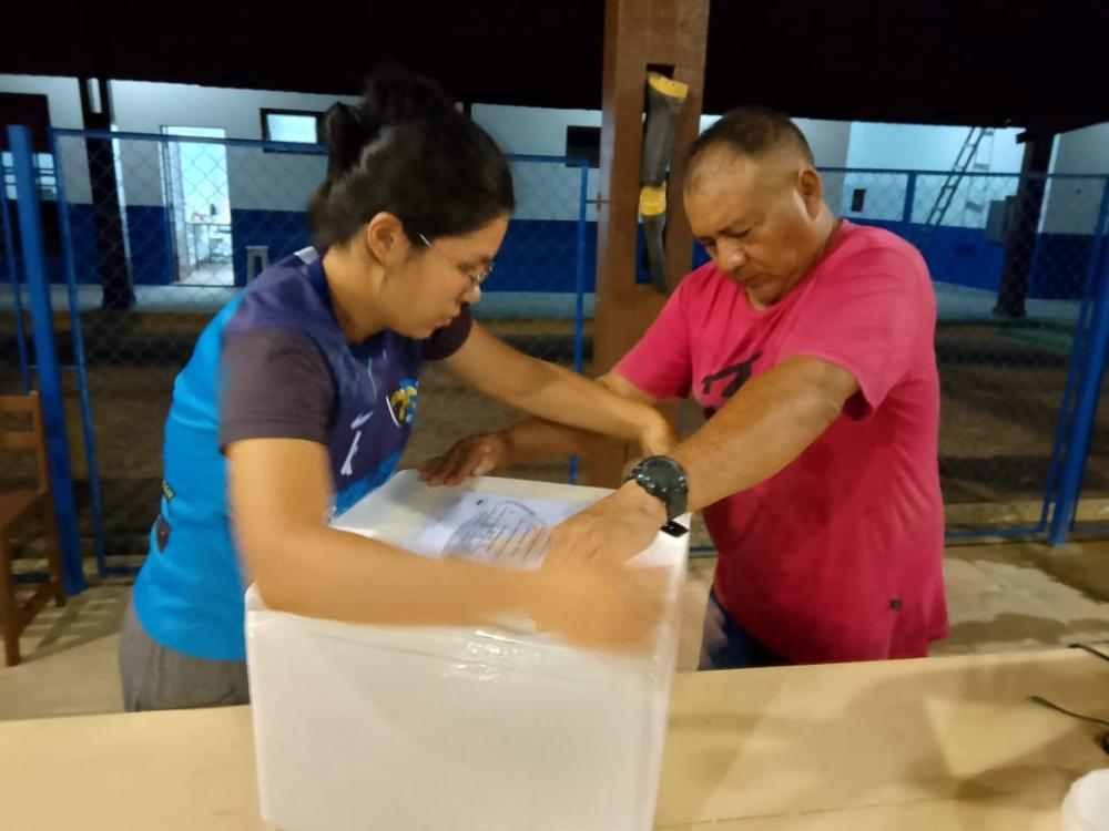 Sepror viabiliza distribuição de 500 mil pós-larvas para São Gabriel da Cachoeira e Coari