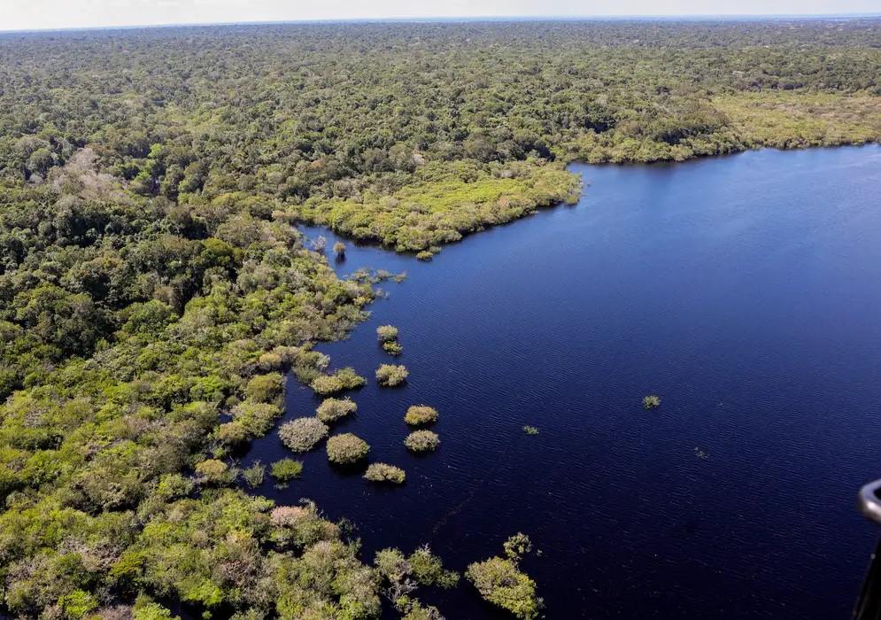 Fundo Amazônia bate recorde ao destinar mais de R$ 1 bilhão em 2025
