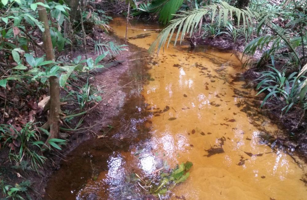 Pesquisa apoiada pelo Governo do Amazonas analisa fontes de água e possíveis alterações relacionadas à urbanização