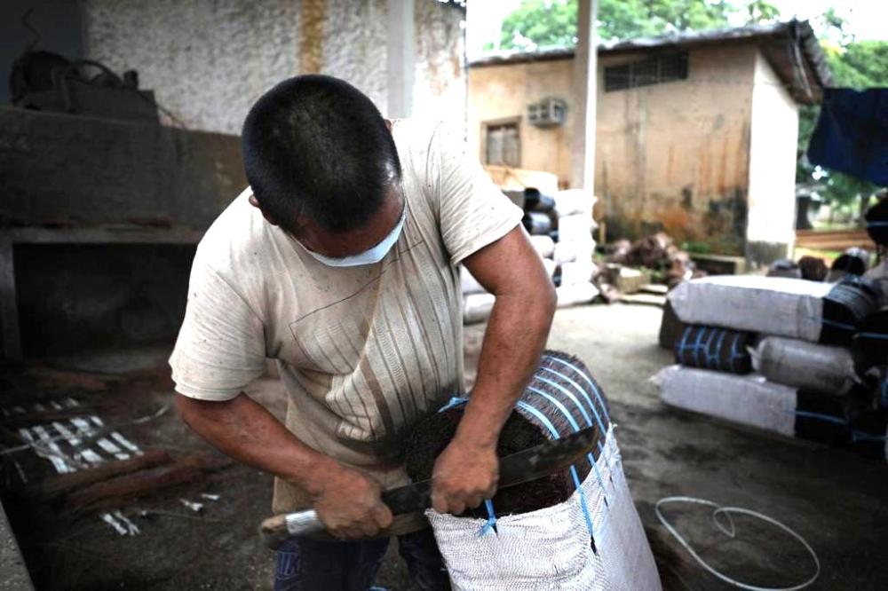 Credenciamento para pagamento da Subvenção Econômica da Piaçava encerra nesta terça-feira