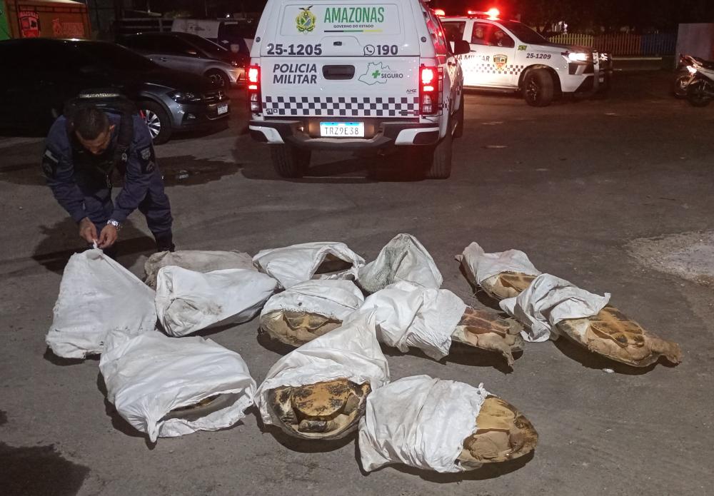 Crime Ambiental: Policia Militar aborda veículo e resgata tartarugas da Amazônia em Parintins