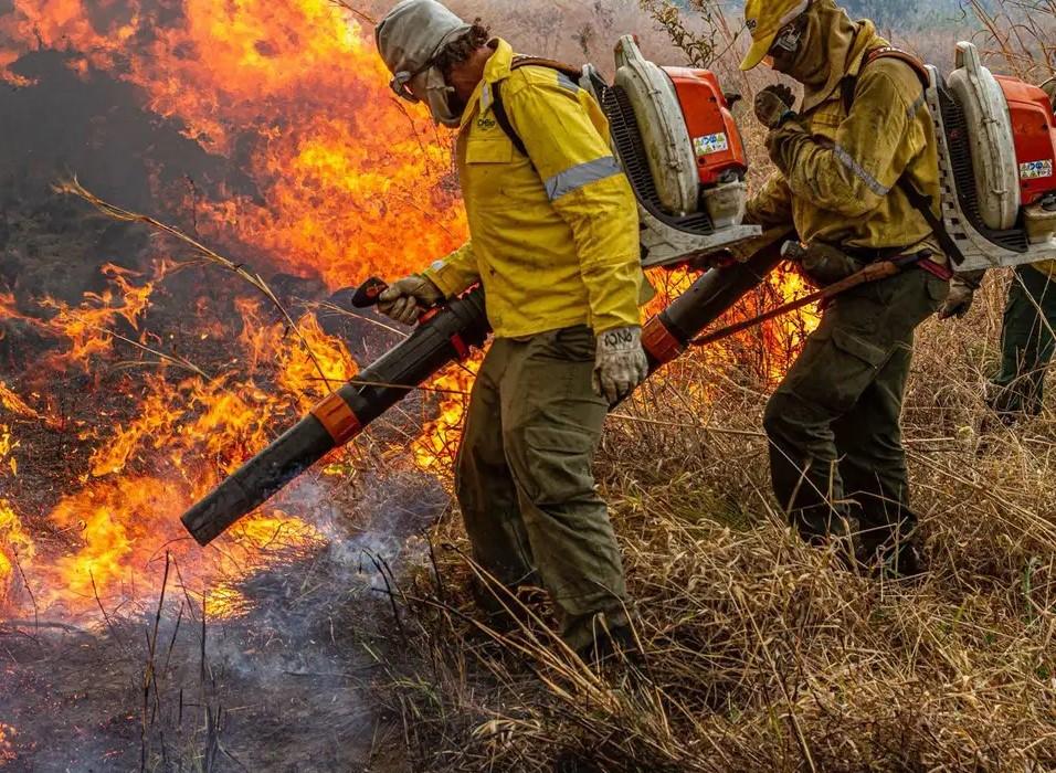 Pré-COP: Brasil propõe resposta global a incêndios florestais