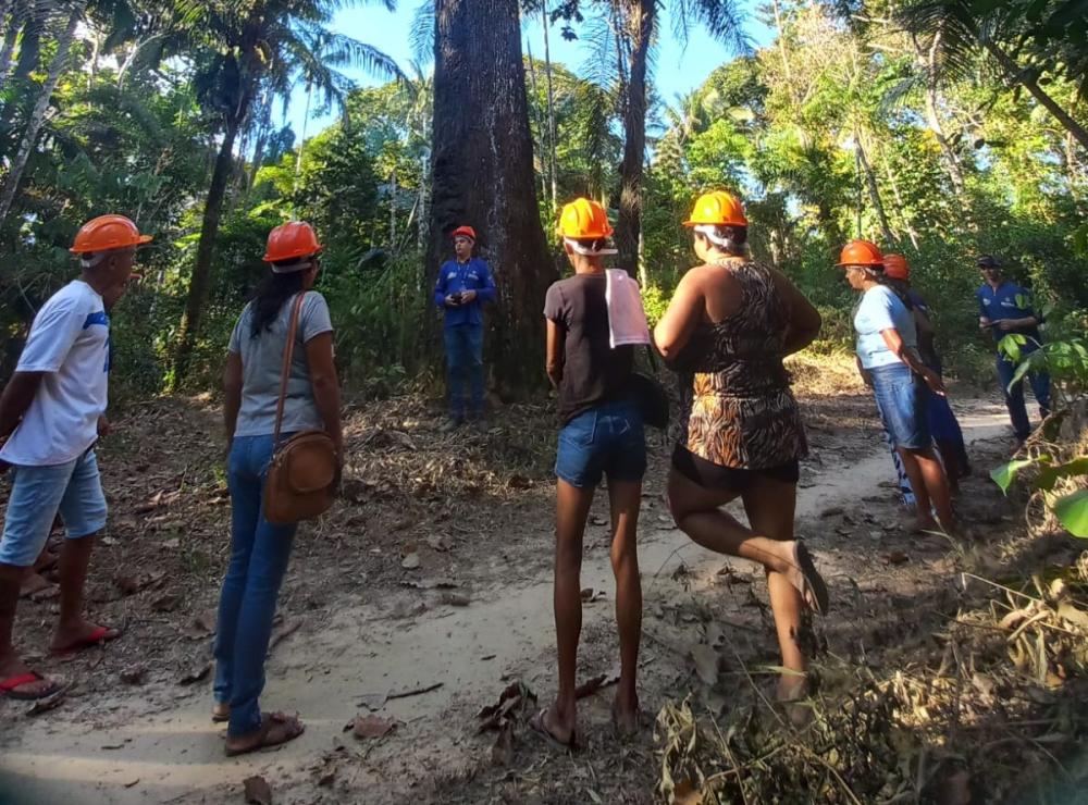 Idam já capacitou 272 extrativistas como parte do projeto Paisagens Sustentáveis da Amazônia em 2025 Idam já capacitou 272 extrativistas como parte do projeto Paisagens Sustentáveis da Amazônia em 2025