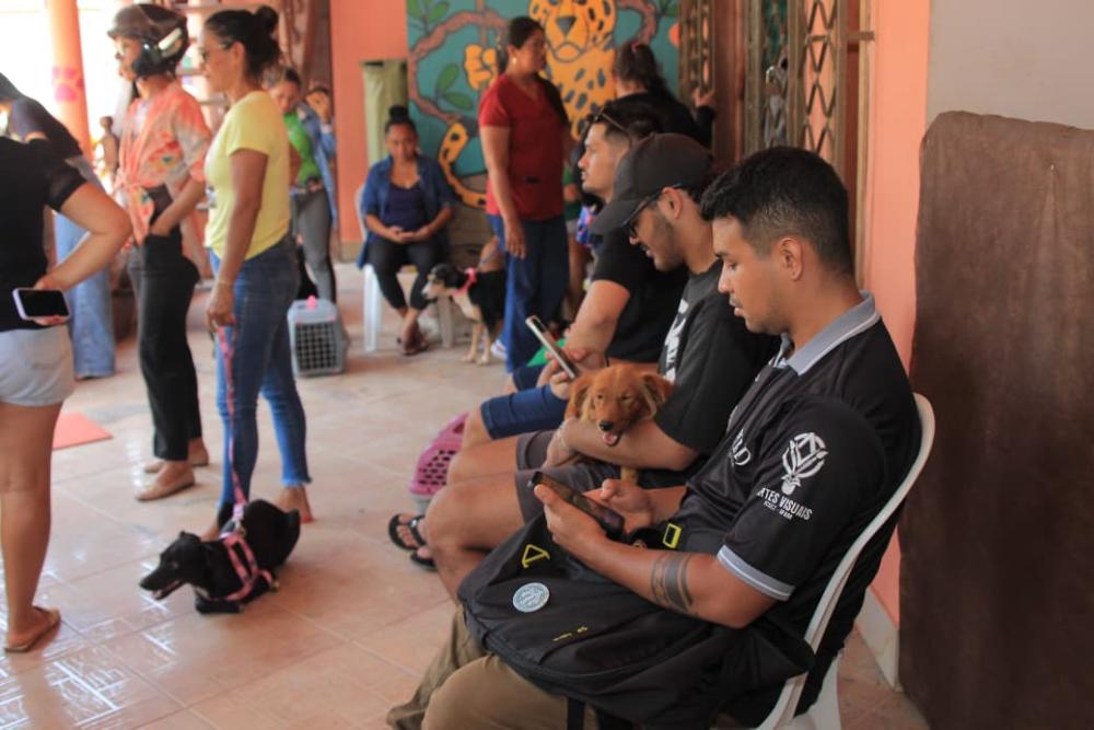 Prefeitura de Parintins inicia nova etapa do Mutirão de Castração Animal