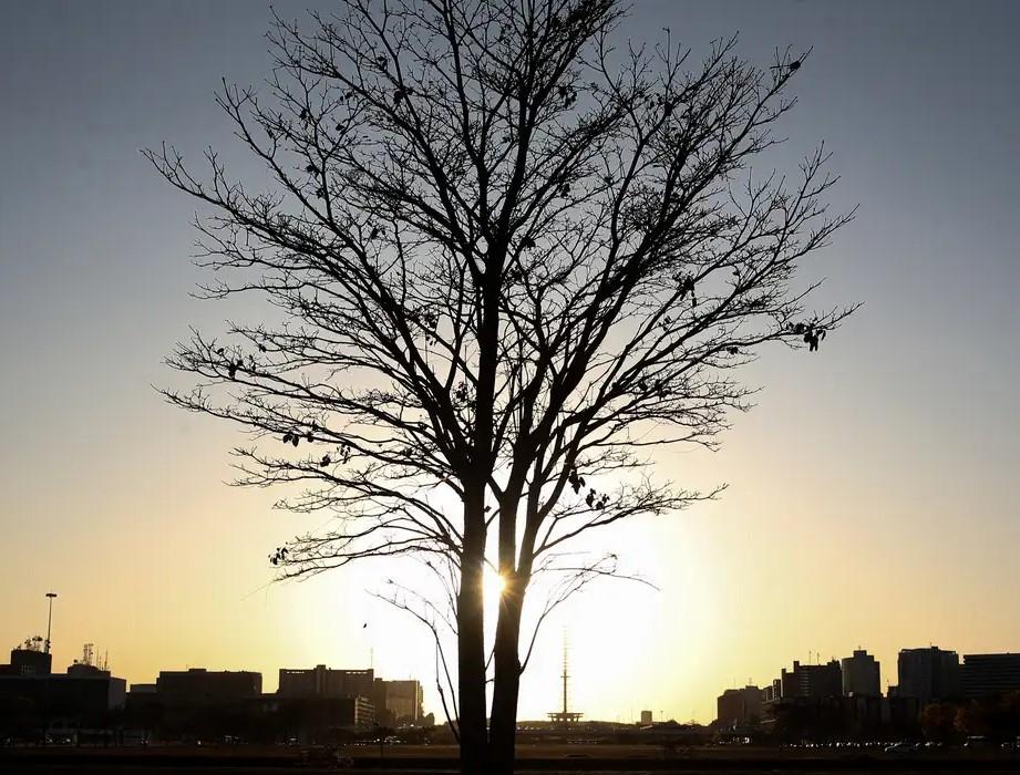 Cientista alerta para risco de aquecimento global por longo tempo