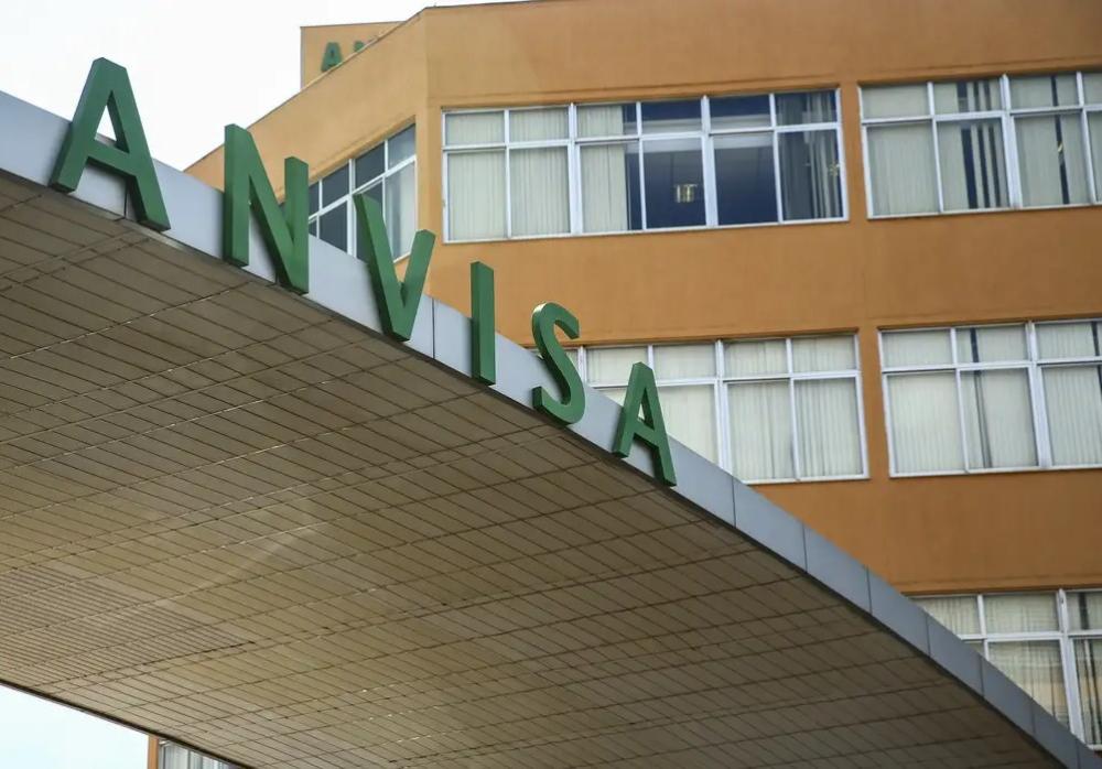 Anvisa manda recolher panetones com fungo