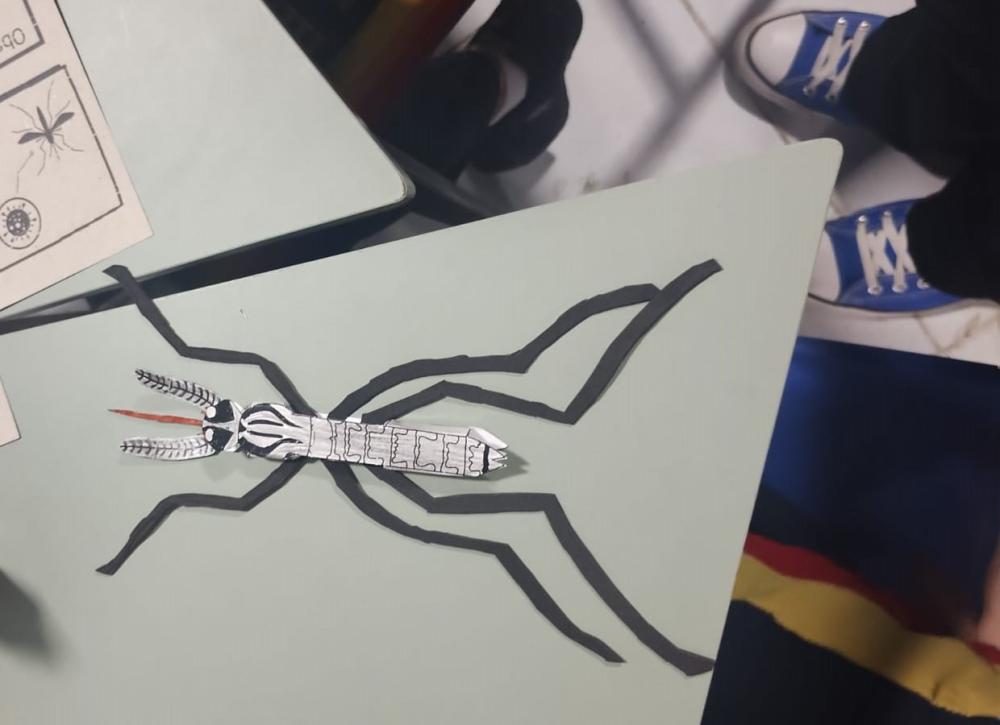 Projeto apoiado pelo Governo do Amazonas estimula protagonismo estudantil na prevenção da dengue