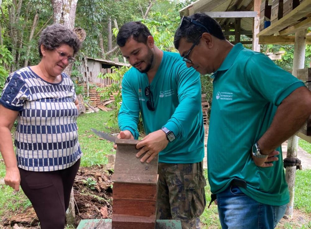 Prefeitura de Parintins prioriza acompanhamento técnico a criadores de abelhas sem ferrão
