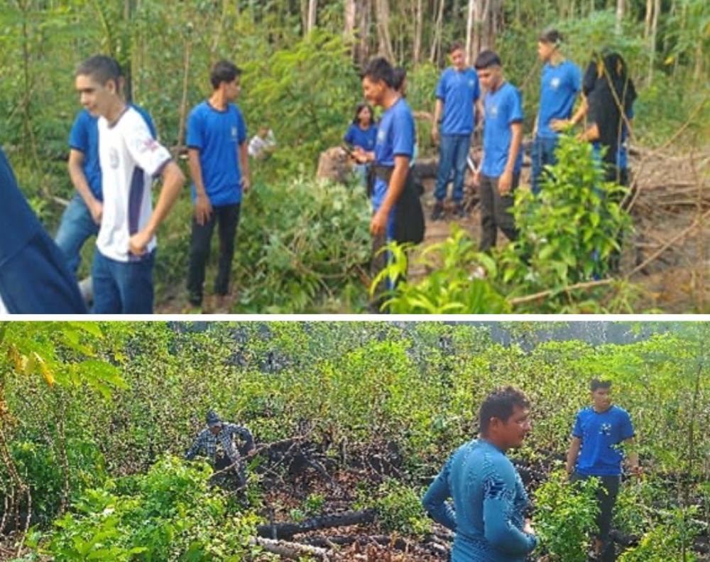Projeto apoiado pelo Governo do Amazonas analisa a produção e herança cultural da farinha de mandioca em Barreirinha
