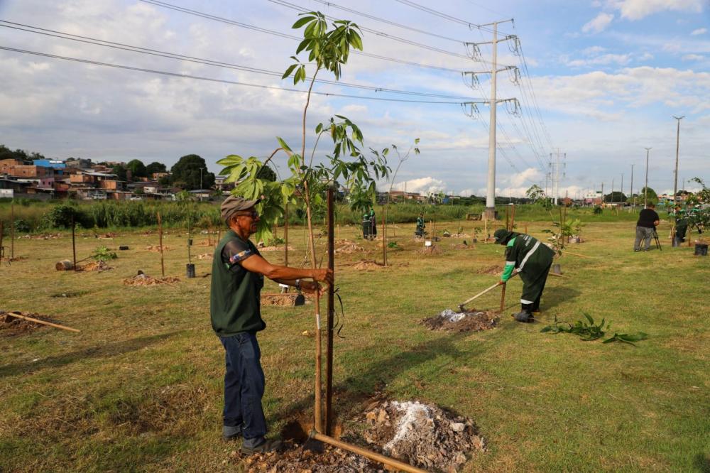 Plano de arborização de Manaus supera meta e alcança 32 mil mudas plantadas em 2025