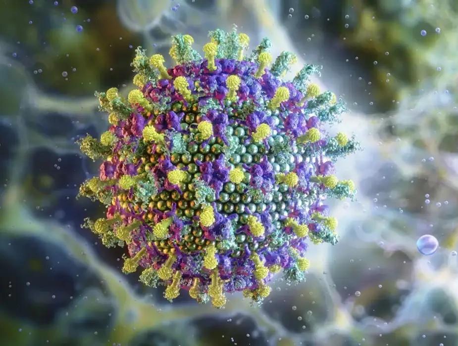 Ministério da Saúde diz que vírus Nipah não ameaça o Brasil