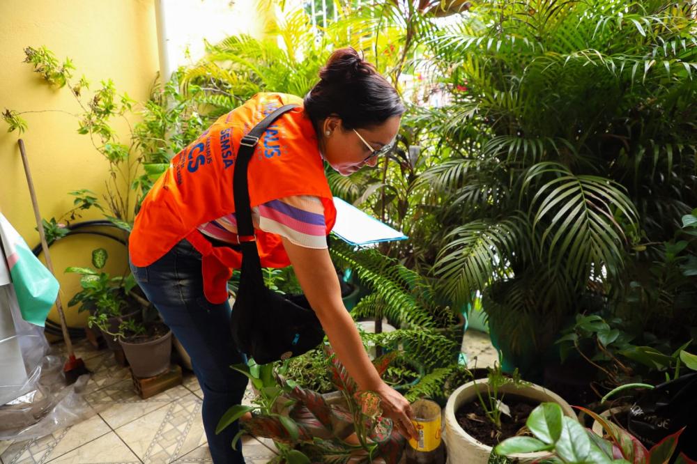 Prefeitura alerta sobre cuidados para prevenção a acidentes com animais peçonhentos em Manaus