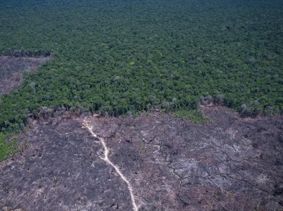 Amazônia Legal: desmatamento prevalece em torno de áreas protegidas