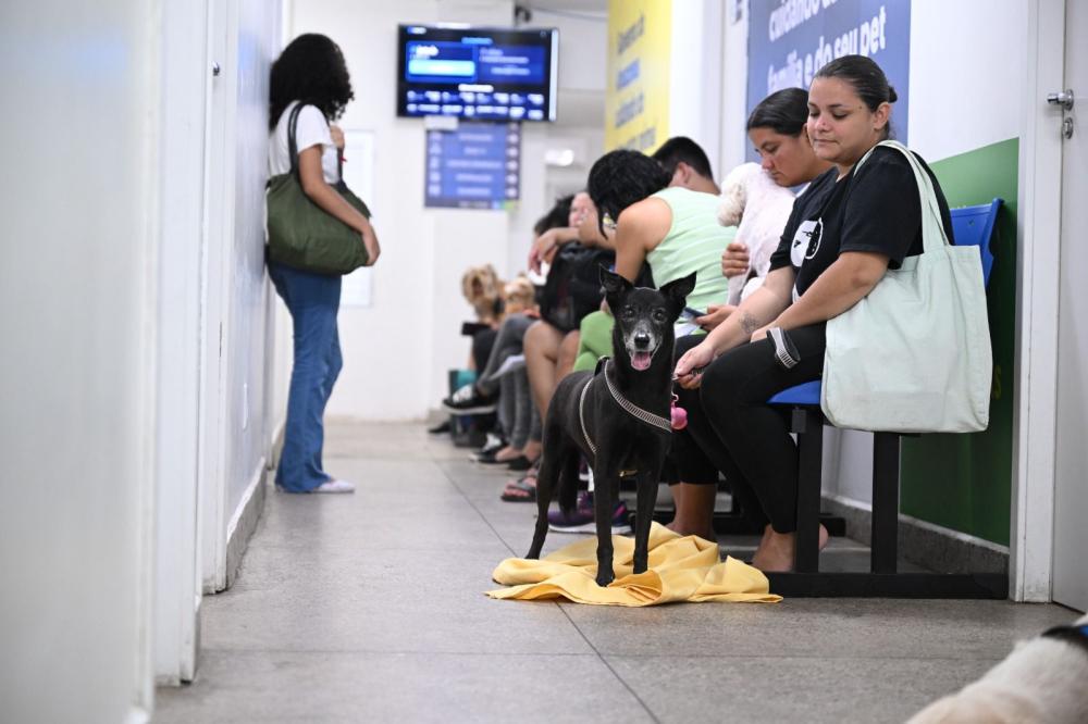 Hospital Público Veterinário do Amazonas ultrapassa a marca de 26 mil animais atendidos em 5 meses de funcionamento