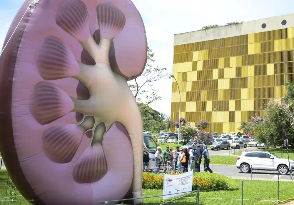 Dia Mundial do Rim: doenças renais são silenciosas e exigem atenção