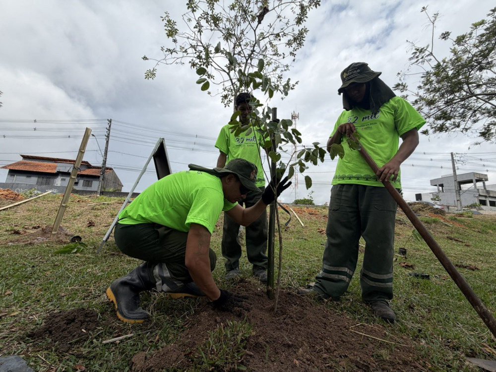 Prefeitura de Manaus realiza plantio de 13.400 mudas como parte da estratégia de arborização da capital amazonense