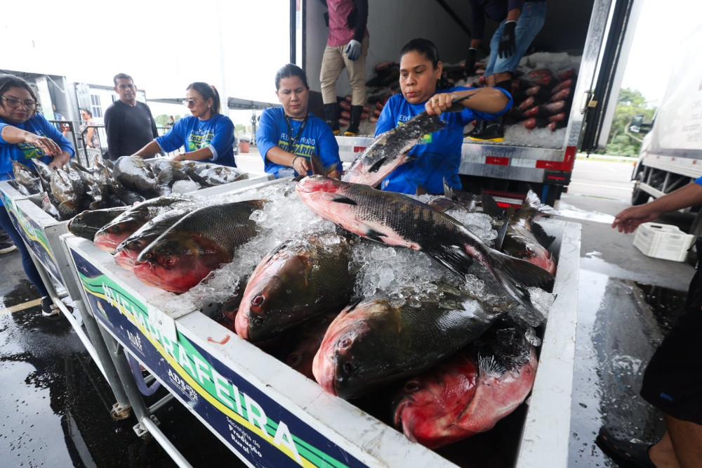 Peixe no Prato Solidário: Programa movimenta a economia local com a compra de 470 toneladas de pescado para a população