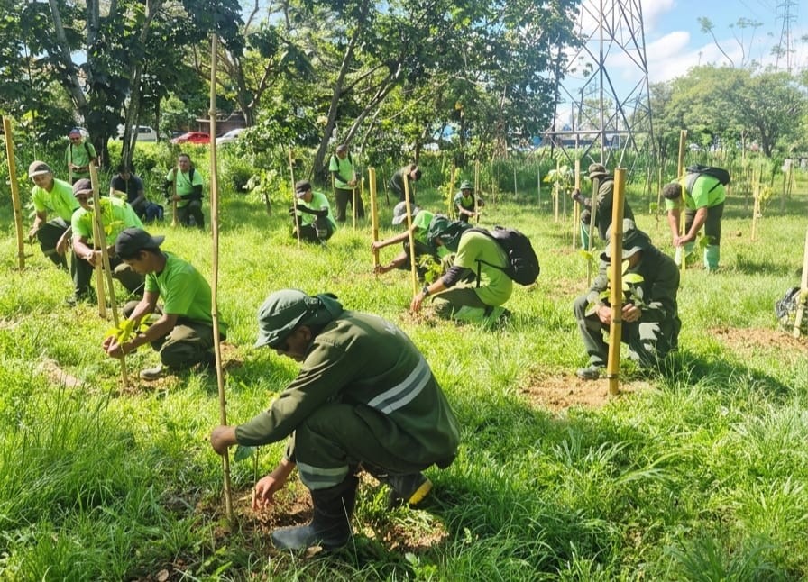 Prefeitura de Manaus já plantou mais de 24 mil mudas no primeiro quadrimestre de 2026
