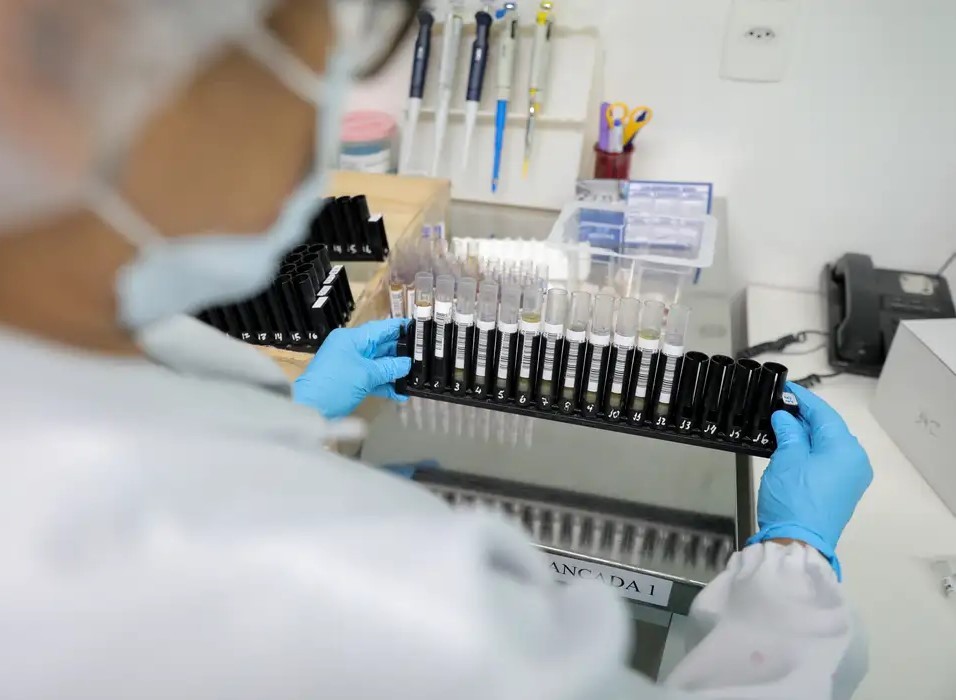 Fiocruz obtém patente para tratamento contra malária resistente