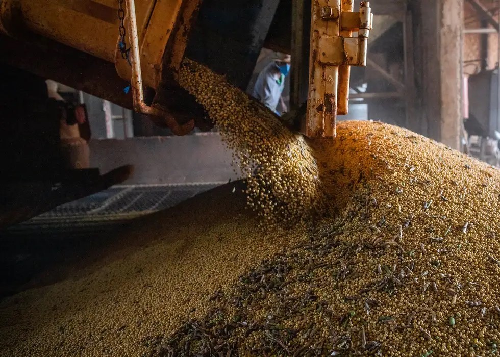Economia brasileira cresce 1,1% no 1º trimestre