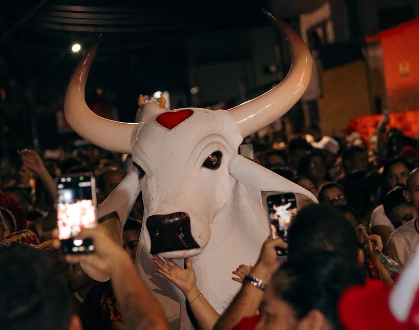 Boi Garantido leva fé, rosas e tradição às ruas de Parintins na Ladainha de Santo Antônio