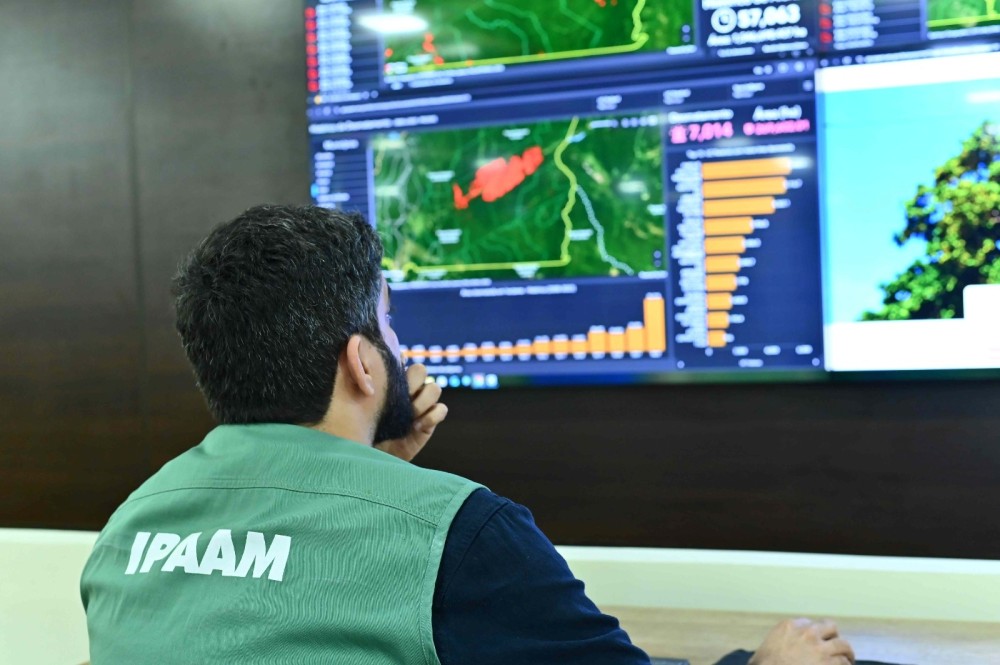 Área desmatada no Amazonas cai 57% nos cinco primeiros meses de 2026, apontam dados do Inpe