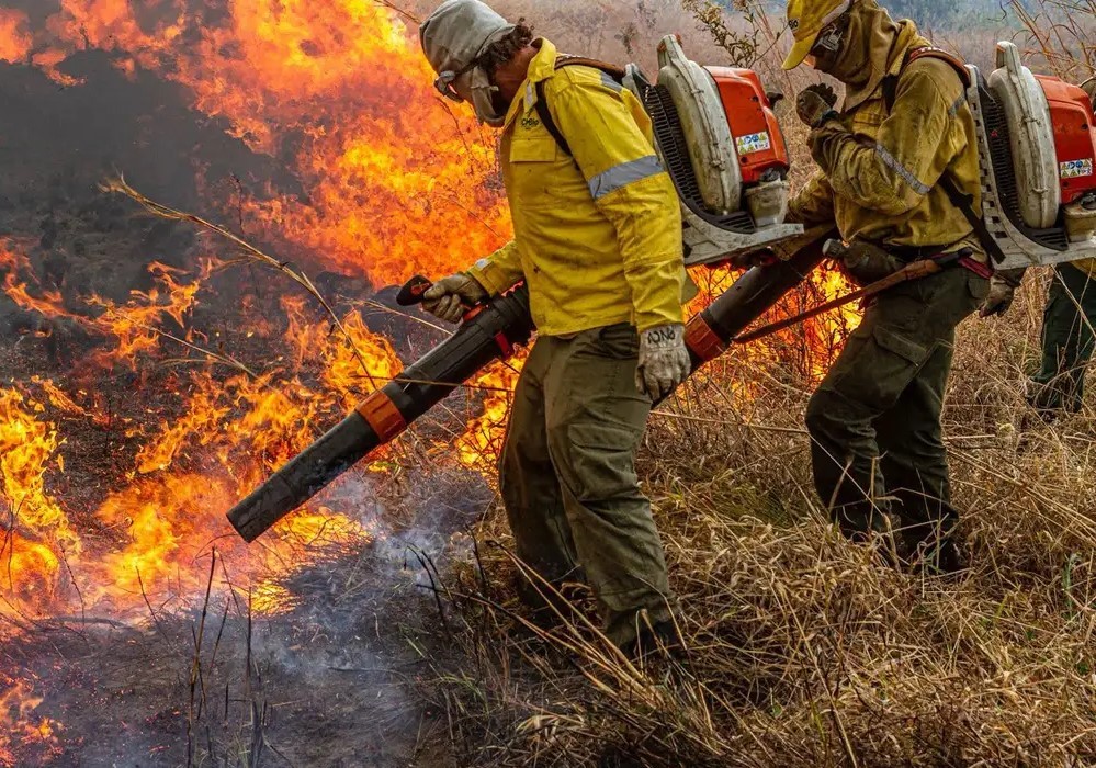 Governo repassa R$ 337 milhões para combate a incêndios e desmatamento
