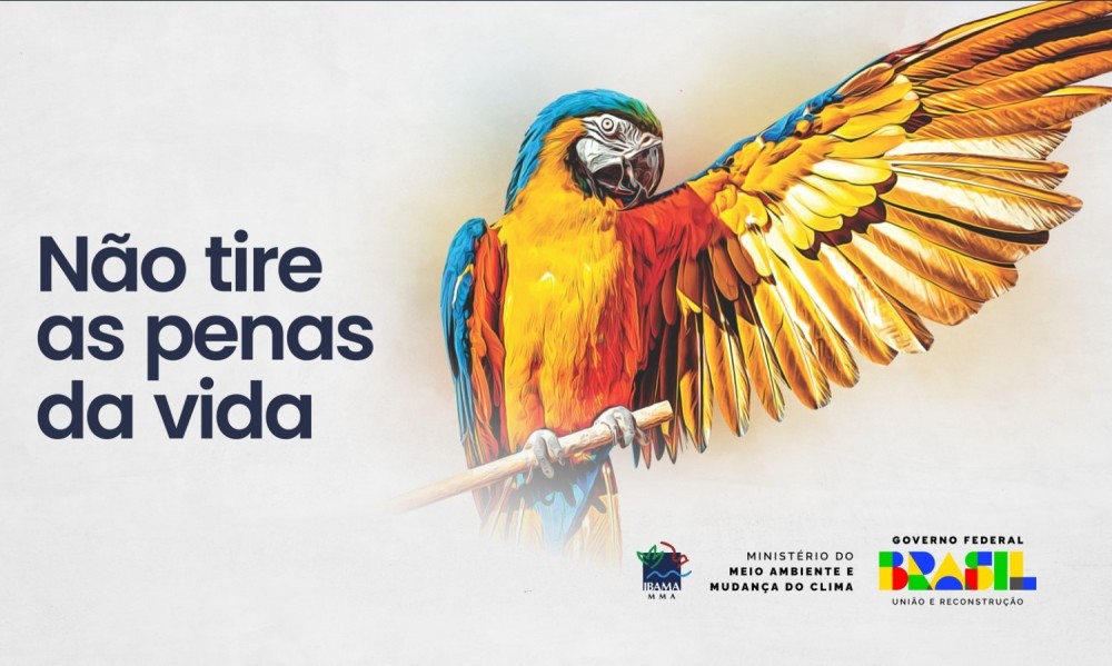 Ibama convida para palestra da campanha 'Não Tire as Penas da Vida' em Manaus