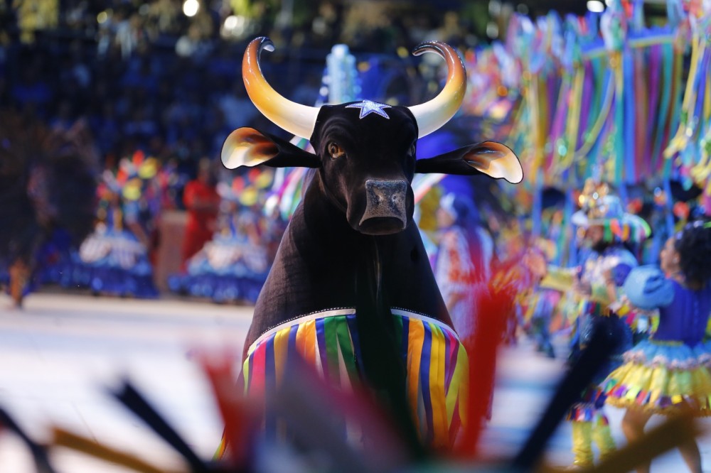 Boi Caprichoso encerra apresentações destacando cultura, memória e tradições da Região Norte