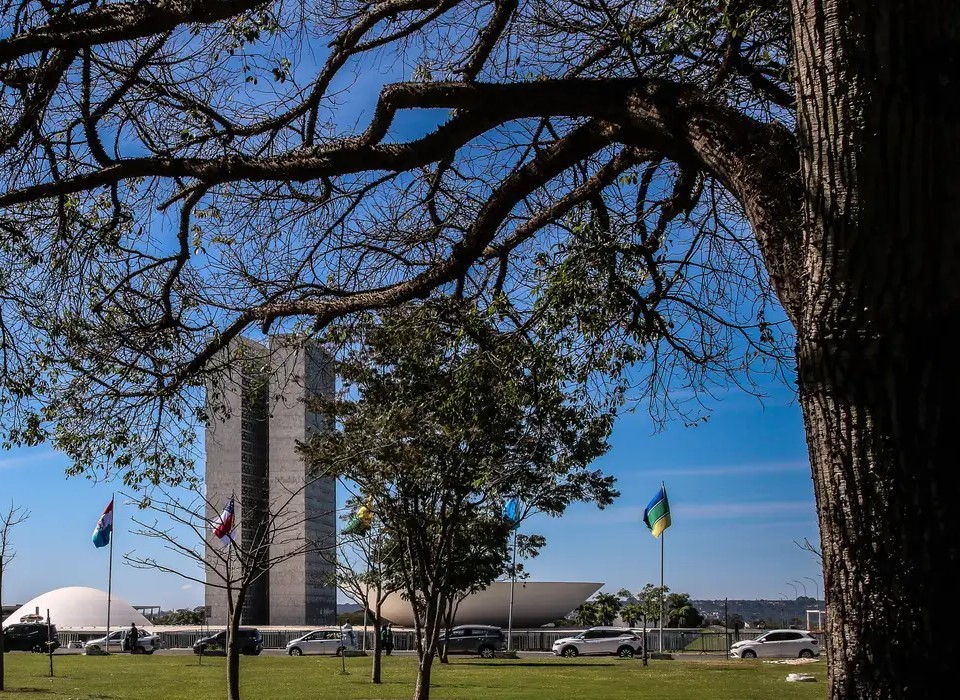 Congresso aumenta punição a crimes sexuais online contra crianças