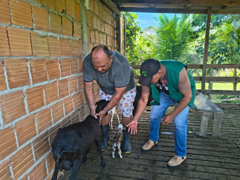 Para incentivar criadores e produtores, Prefeitura de Parintins promove Capacitação no Setor Primário
