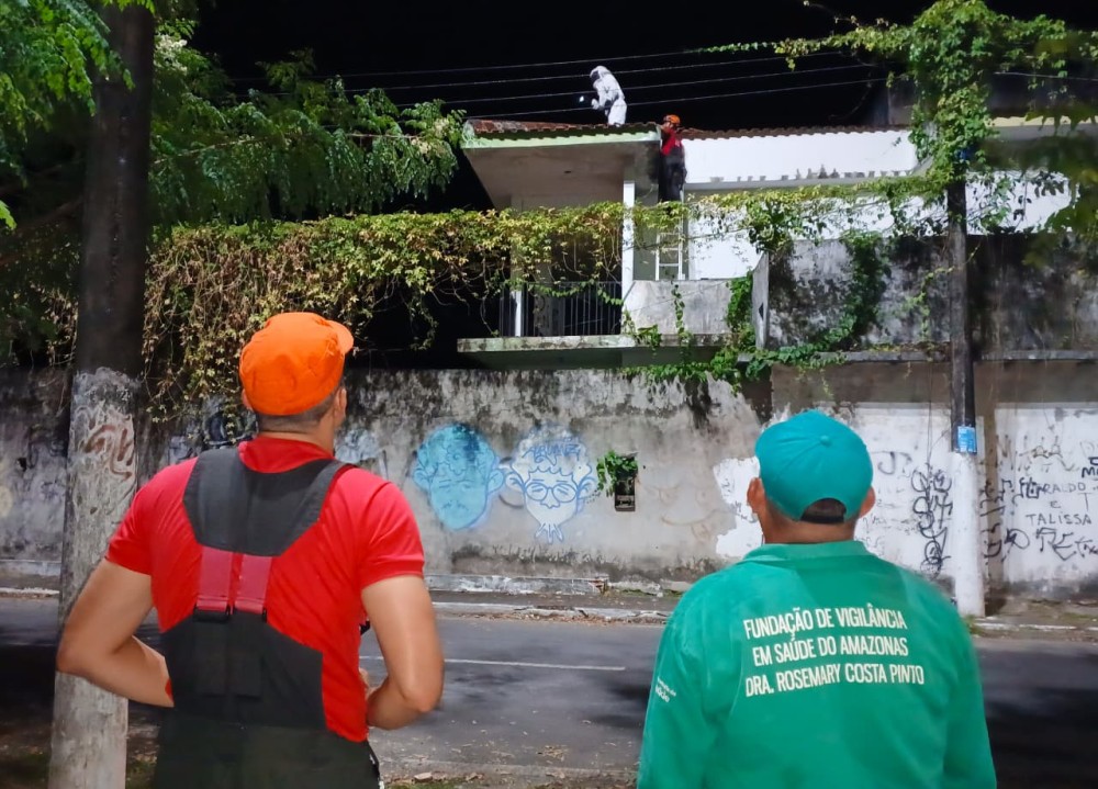 Enxame de abelhas africanas é retirado de casa abandonada próxima a escola em Parintins