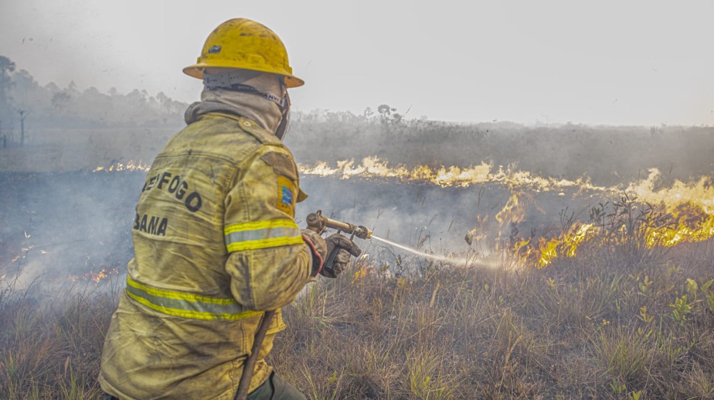 Ibama mobiliza brigadistas para combater incêndios em Parintins, Barreirinha e outros municípios do Amazonas